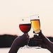 Bliss Home Elegant Multicolor Swarovski Crystal Magnetic Wine Glass Charms - Drink Markers for Wine, Champagne, Beer and Cocktail Glasses (Set of 12) - Box Included for Storage or Gifting