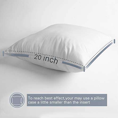 Edow Throw Pillow Insert, Set of 2 Down Alternative Polyester Square Form Decorative Pillow, Cushion,Sham Stuffer. (White, 20x20)