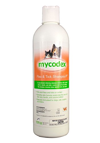 mycodex shampoo