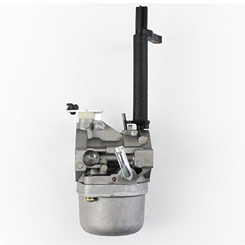 Coleman Powermate 6250 Carburetor Diagram - Drivenheisenberg