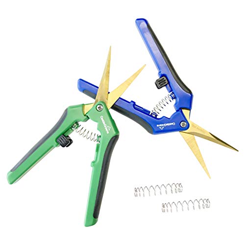 CastleGreens 2 Pack Micro-tip Straight Blade/Curved Blade Flower Leaf Trimmer Bonsai Pruning Shears with Titanium Coated Gardening Pruner Scissors Set