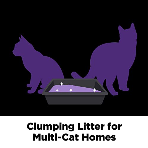 Arm & Hammer SLIDE Platinum MultiCat Easy CleanUp Clumping Cat Litter