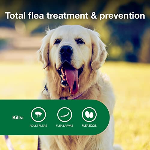 Advantage II Large Dog Flea Treatment & Prevention Dogs 2155 lbs. 4Month