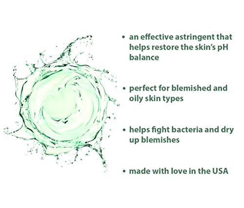 RAYA Camphor Astringent 6 oz (204) | Effective Facial Toner for Oily and Break-Out Skin | Helps Dry Up Blemishes and Control Excessive Oiliness | Made With Camphor and Eucalyptus