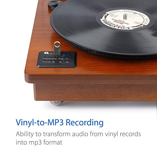 1byone Belt Driven Turntable with Built in Stereo Speaker, Wireless Connection Vintage Style Record Player, Vinyl to MP3 Recording, Natural Wood