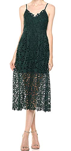 astr dress lace