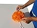 Tissue Paper Pom Poms - Set of 30 Pcs - Pre Folded Paper Decoration for Party Wedding Birthday Bridal Baby Showers Mexican Fiesta Flowers - 6 8 10 Inch - 10 Mixed Colors