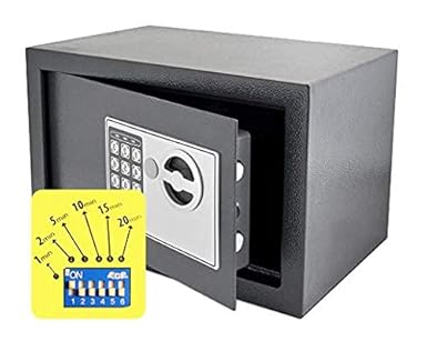 Caja Fuerte Retardada: Amazon.es: Industria, empresas y ciencia