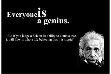 Amazon 慢性的なコレクション 12x12 ポスター 有名な引用句 アルバート アインシュタイン Everyone Is A Genius アートフレーム ポスター オンライン通販