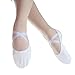 Danzcue Adult Canvas/Leather Ballet Shoes Split Sole Ballet Slippers for Women Dance Shoes, White, 8.5M