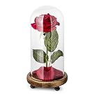 "Beauty and the Beast" Rose Kit, Red Silk Rose and Led Light with Fallen Petals in Glass Dome on Wooden Base for Home Decor Holiday Party Wedding Anniversary