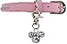 EXPAWLORER Dog Triple Bell Pendant Charm Pet Accessory for Cat Collar Necklace Tags