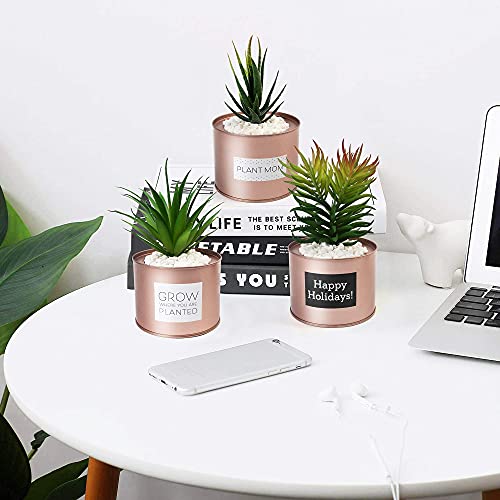 LotFancy Faux Succulents Plants for Desk Decor, Office Artificial Potted Fake Plants for Bedroom Kitchen, 3 Pcs Plastic Artificial Succulents with Metallic Rose Gold Jars & Decoration Accessories
