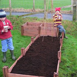 Economía (Madera Fsc Raised - Cama doble capa: Amazon.es: Jardín