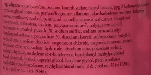 PHILOSOPHY – RASPBERRY SORBET SHOWER GEL, 16 OZ