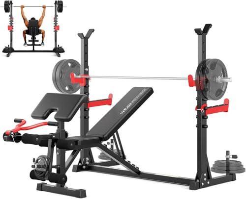 YOLEO Multifunktion Training Fitness Bank,3+6 Einstellbare Übungsbank Bizepstraining und Rückentrainer, Beinhalterung für Bauchtraining Mehrweg Sit up