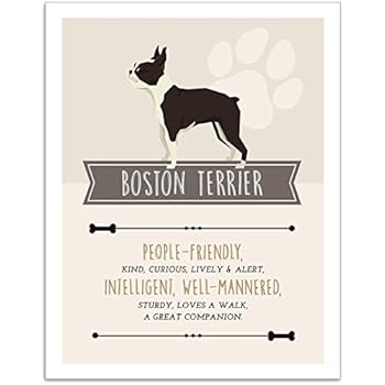 Boston Terrier Dog Wall Art - 11x14 Unframed Decor Print - Makes a Great Gift Under $15 for Dog & Pet Animal Lovers