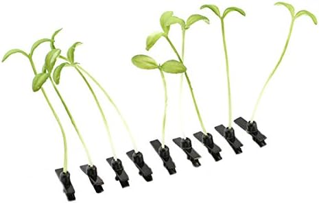 10 Pcs Bean Sprouts Hairpins Plant Fruit Hair Clips Cute Fashion Cosplay Hair Styling Accessories (Gradient Green)