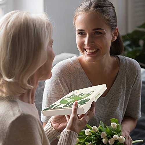 12 PCS Fruit Fly Trap Yellow Sticky Fungus Gnat Traps for House Plants Gnat Killer for Indoor / Outdoor, Glue Trappers Bug Catcher for Gnats, Whitefly, Mosquito Bits, Flying Insects - Protect Plants