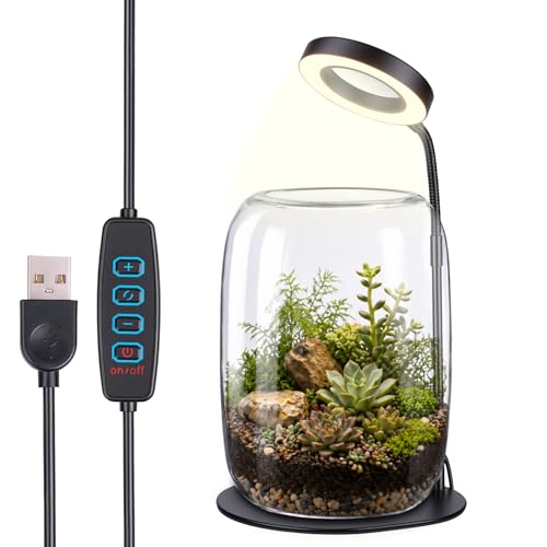 Yeeweek 7X Aperture Grow Light for Indoor Plants, Full Spectrum Mini Desk Plant Light with Glass Terrarium, Height Adjustable LED Grow Lamp for Succulents, Moss & Home Office Gift at Amazon