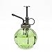 Ebristar Plant Mister, Glass Watering Spray Bottle, 6.5