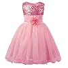 JerrisApparel Prinses Meisjes Pailletten Bloem Feestjurk Tule Jurk