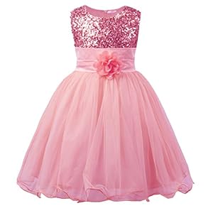 JerrisApparel Prinses Meisjes Pailletten Bloem Feestjurk Tule Jurk