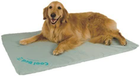 cooling water bed for dogs