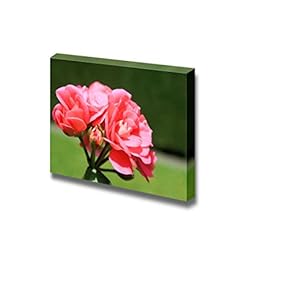 Canvas Prints Wall Art - Closeup of Beautiful Geranium Flower | Modern Wall Decor/Home Art Stretched Gallery Wraps Giclee Print & Wood Framed. Ready to Hang - 12" x 18"