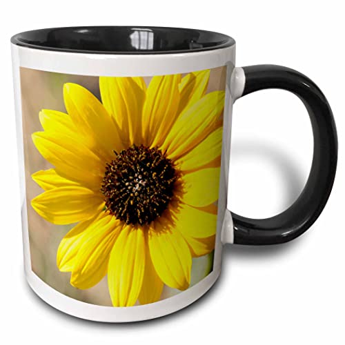 3dRose USA, Kansas. sunflower 11oz Two-Tone Black Mug