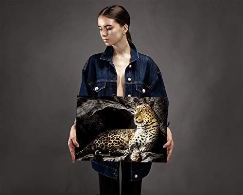 41gieuDHJXL Feeby Cuadro de Pared XXL Leopardo Impresión Lienzo Animal Naturaleza Negro 120x80 cm Feeby Cuadro de Pared XXL Leopardo Impresión Lienzo Animal Naturaleza Negro 120x80 cm - Imagen 4