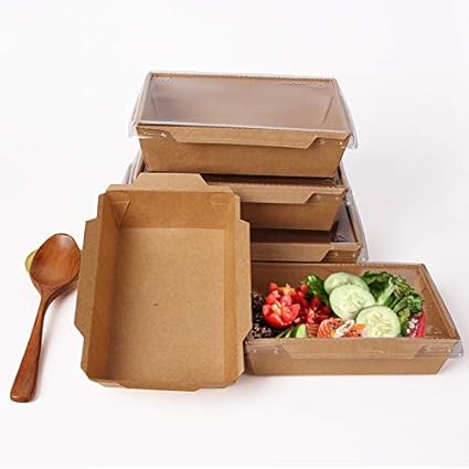 disposable lunch boxes amazon