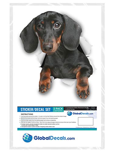 Long Haired Dachshund Sausage Dog For Wall Fridge Toilet And More