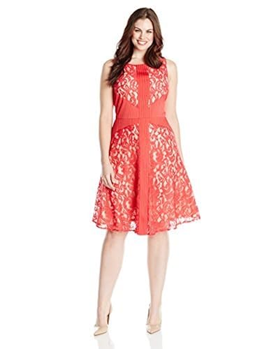 Taylor Dresses Women's Plus-Size Lace Fit-and-Flare Dress with Inset At  Waist in Kenya | Whizz Casual