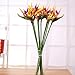 Lanldc 25 Inch Bird of Paradise Artificial Plant for Home Office Decoration 6Pcs (Orange)