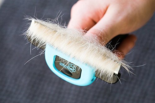 3 Chirpy+Pets+Brush+Pet+Deshedding