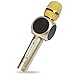 Wireless Karaoke Microphone, Innoo Tech 4-in-1 Portable Bluetooth karaoke player for iPhone Android Apple PC or Smartphone, Handheld Karaoke Machine for Home KTV Outdoor Party Muisc Playing Singing