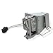 Litance BL-FP190E Replacement Lamp for Optoma GT1080, HD141X, HD26, BR323, BR326, DH1009, DW333, DX346, EH200ST, S312, S316, W316, X316 Projectors