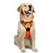 rabbitgoo Dog Harness No Pull with 2 Leash Clips, Adjustable Soft Padded, Reflective Oxford No Choke Pet Vest with Easy Control Handle for Large Dogs,Orange,L