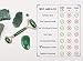 Spa Grade Jade Roller for Face with Gua Sha | Jade Face Roller Massager | Jade Facial Roller | Face Roller Massager | Jade Rollers | Wrinkle Rollerthumb 4