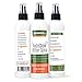 Fur Goodness Sake Bitter Apple Spray for Dogs - Anti-Chew Spray for Dogs to Stop Chewing Furniture