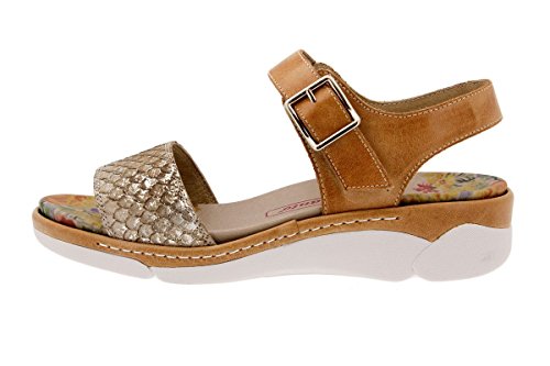 41gjRI2qdqL Zapato Cómodo Mujer Sandalia Plantilla Extraíble 1501 PieSanto Zapato Cómodo Mujer Sandalia Plantilla Extraíble 1501 PieSanto