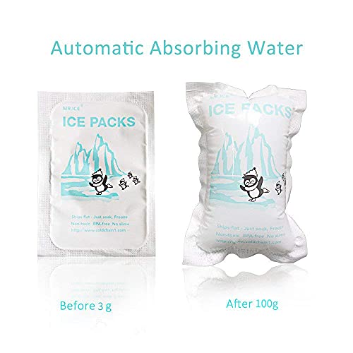 Small Dry Ice Packs for Shipping Food, Reusable Freezer Cold Packs for