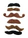 Sea View Treasures 36 Bulk Fake Costume Mustache Assortment (Pink, Brown, Black, Green, Blonde)