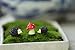 Ginsco Miniature Ornament Hedgehog & Mushroom Set for Dollhouse Decor Fairy Garden