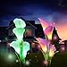 Solar Garden Lights Outdoor, 2 Pack Solar Powered Lights with 8 Lily Flower, Multi-Color Changing LED Solar Stake Lights for Garden, Patio, Backyard (White/Purple)