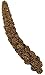 F.M. Brown's Tropical Carnival Natural Mini Spray Millet Foraging Treat for Canaries, Finches, Parakeets, Cockatiels, and Parrots, 4-oz Bag - USA Grown and Harvested