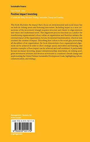 Positive Impact Investing: A Sustainable Bridge Between Strategy, Innovation, Change and Learning (Sustainable Finance)