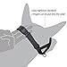 Dog Muzzle, Quickly fit gentle head collar walk training loop stop pulling halter, Black Large