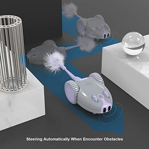 DADYPET-Katzenspielzeug-Roboter-Maus-Mausspielzeug-automatische-Bewegung-durch-den-Raum-ber-USB-aufladbar-elektronisches-Spielzeug-mit-5-Ersatzfedern-fr-Ktzen-fr-alle-Bden-geeignet